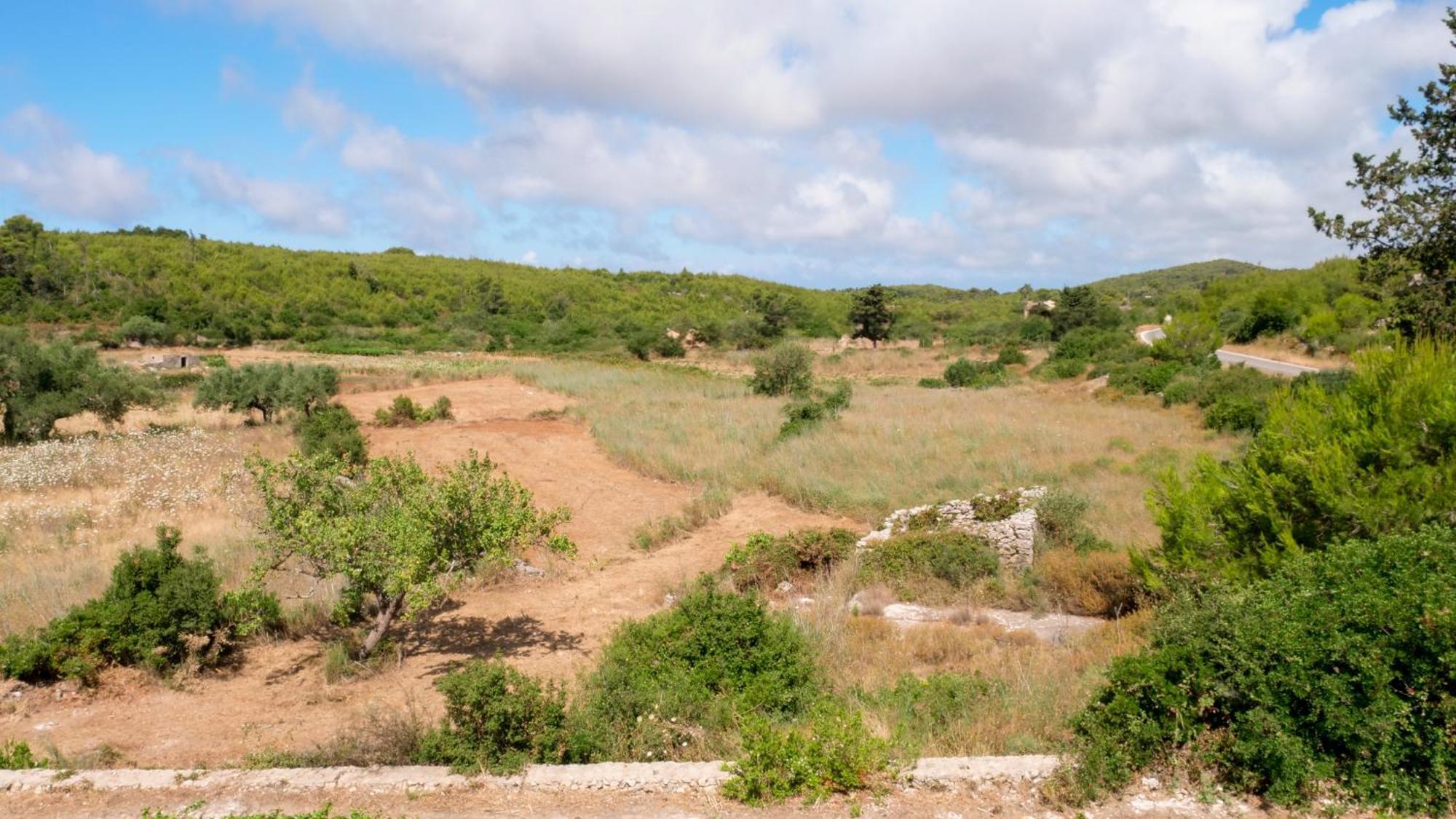 Fterini Apartments Sterna & Alletri Agios Leon Dış mekan fotoğraf