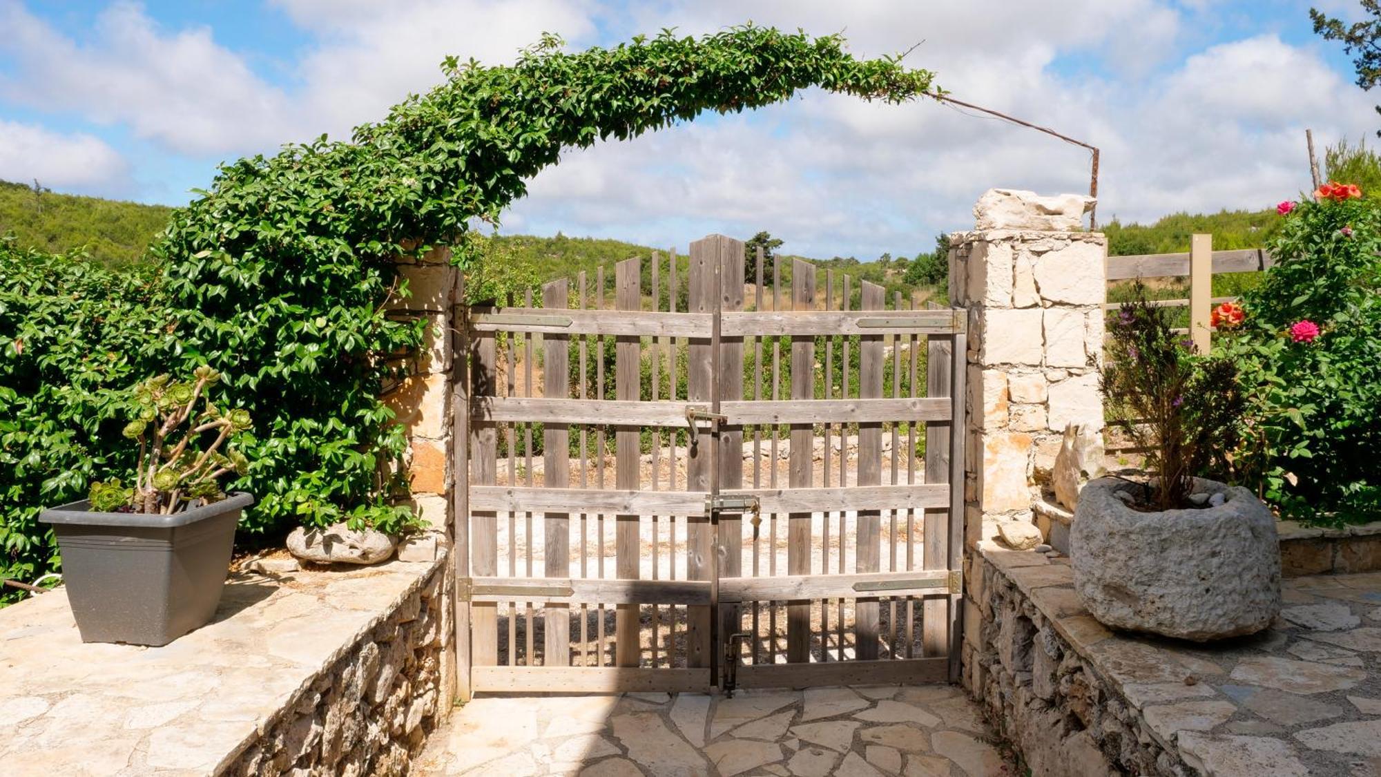 Fterini Apartments Sterna & Alletri Agios Leon Dış mekan fotoğraf