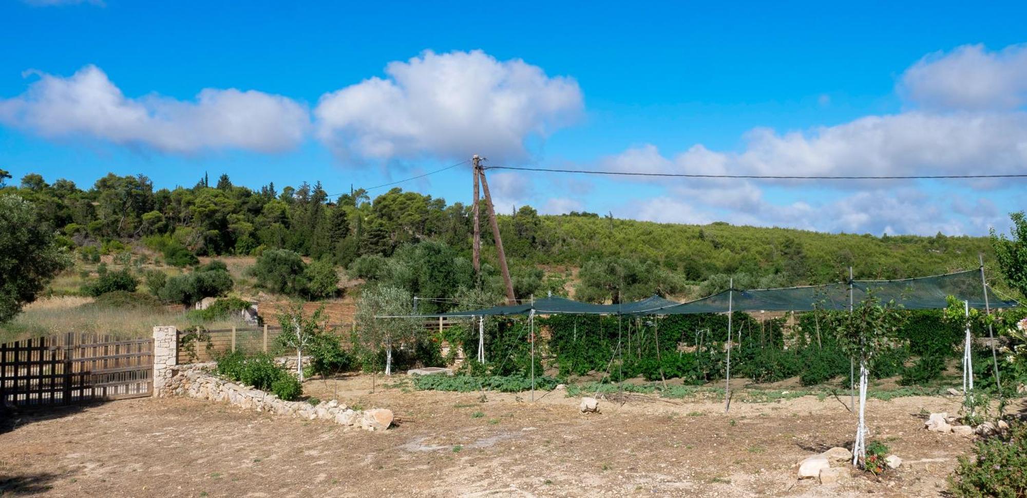 Fterini Apartments Sterna & Alletri Agios Leon Dış mekan fotoğraf
